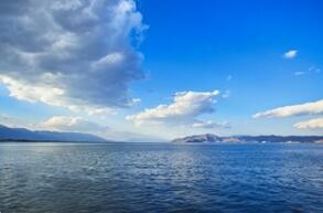 赏樱花赏银杏—赏醉美云南