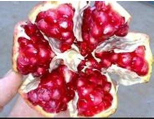 剥石榴的简便方法