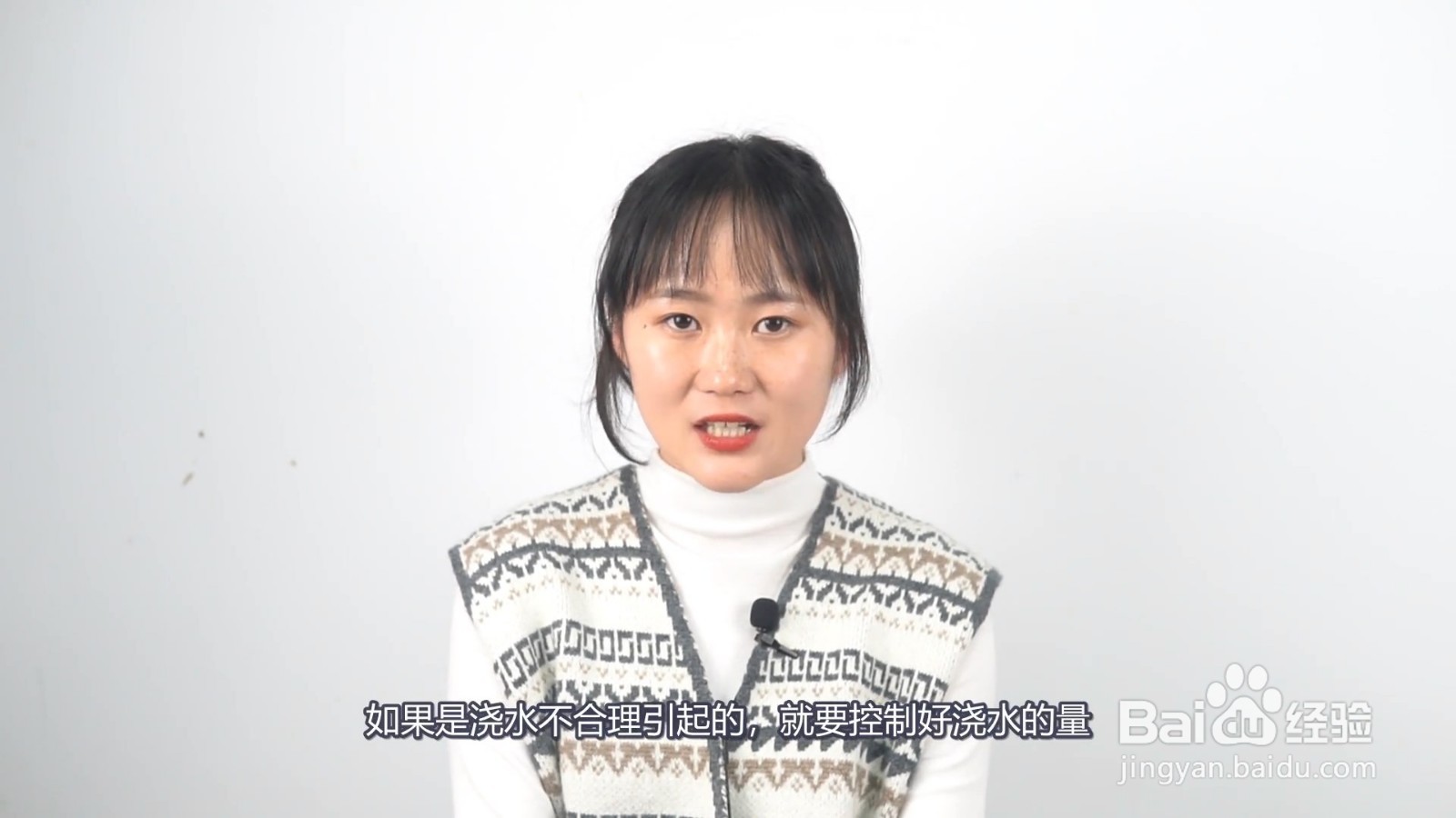 幸福树叶子一碰就掉,叶子发干怎么办