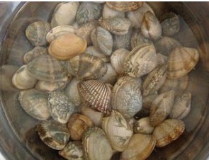 怎么吃蛤没有沙子?