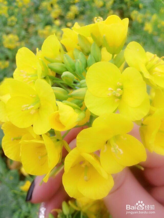 窗口切换的操作