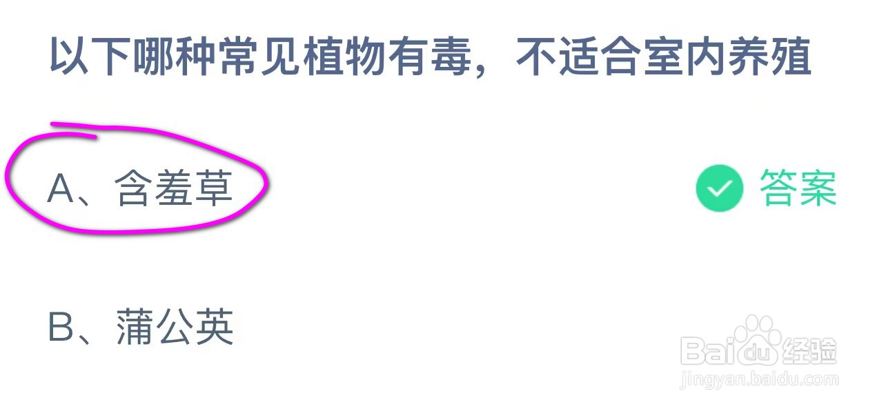 以下哪种常见植物有毒，不适合室内养殖