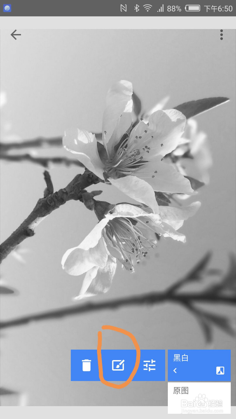 如何用snapseed进行图片的局部色彩保留