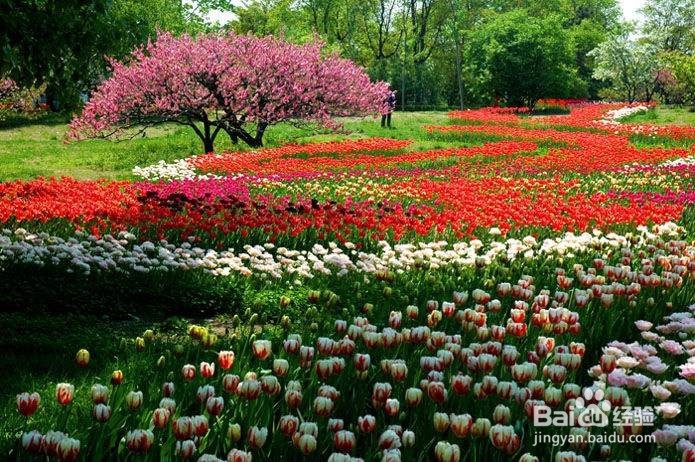 【校园指南】哈尔滨理工南区周边游篇