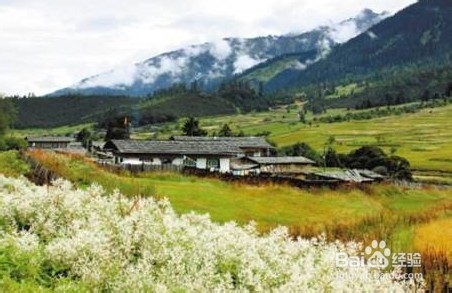 旅游达人喜讯-中国最美村镇揭晓：[1]典范奖