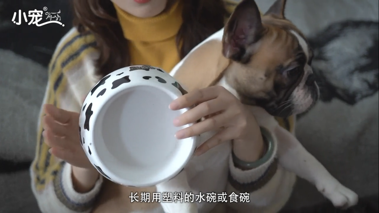 狗狗鼻子为什么会干裂