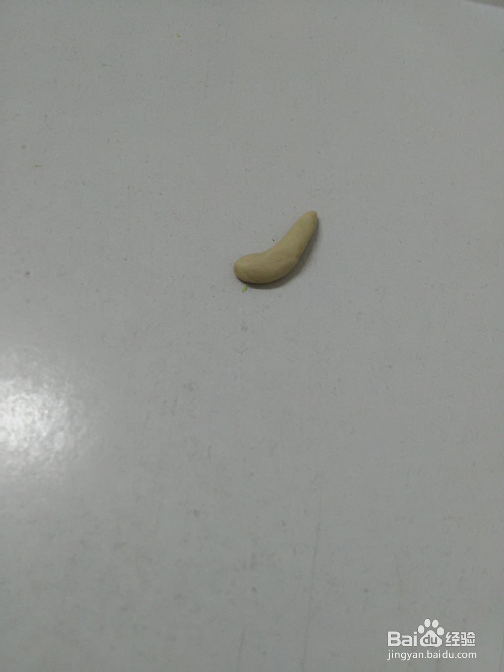 用面怎么捏狗狗汪汪队毛毛