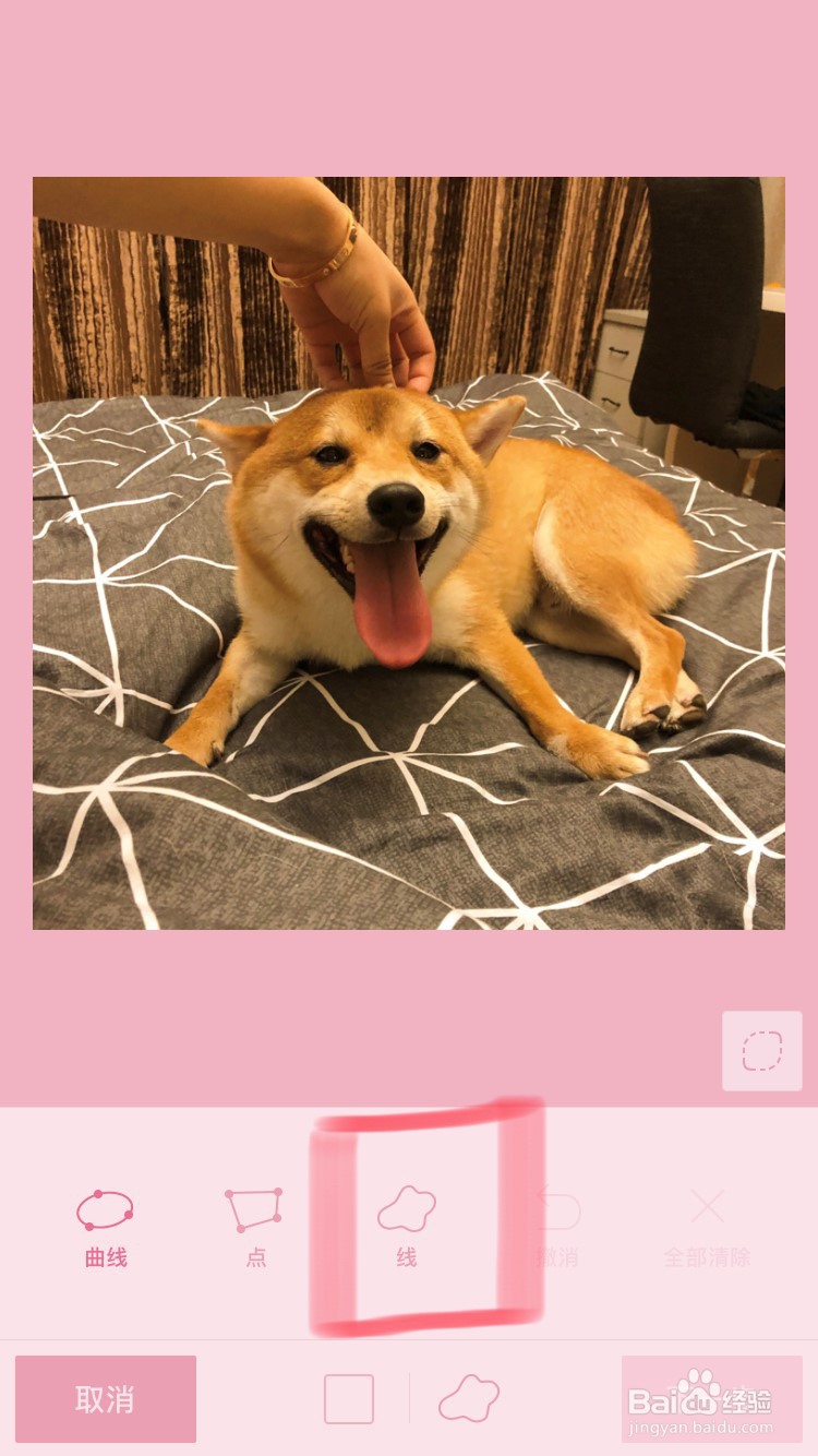 如何用手机软件LINE Camera抠图