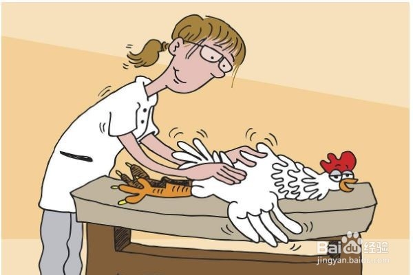 如何增强胰岛功能