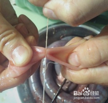 东北灌血肠的做法大全