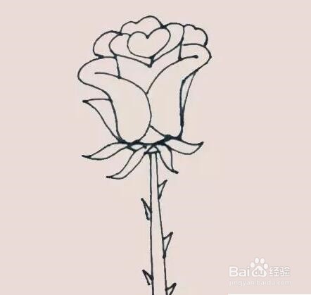 伴儿成长简笔画系列-怎样画玫瑰花简笔画