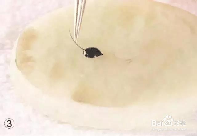 种睫毛的胶干了小妙招