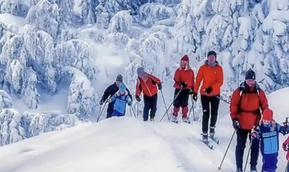 想知道挪威常年下雪吗