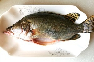 清蒸桂花鱼做法