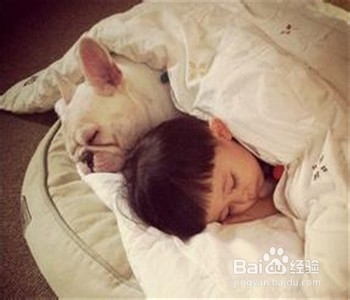 怎样教育孩子：[5]父母要多陪伴孩子