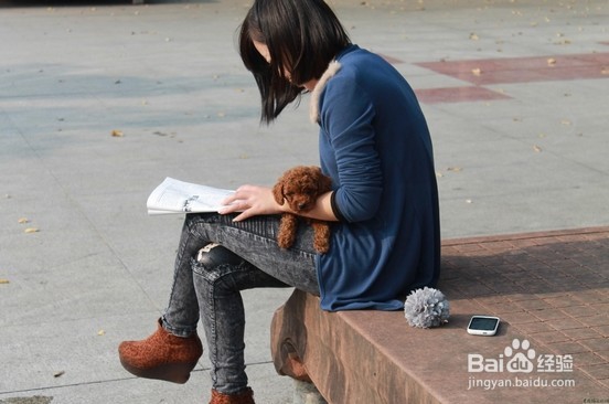 怎样快速的读完一本书