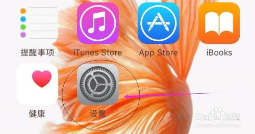 苹果手机各APP该如何开启/设置允许访问相机权限