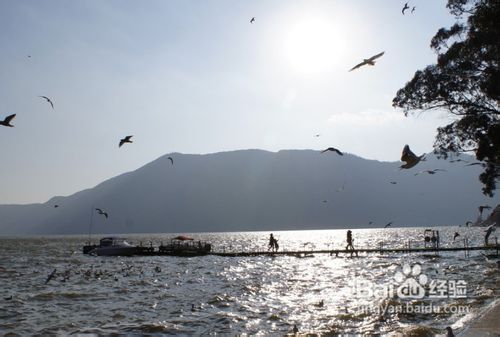 高原明珠滇池之旅