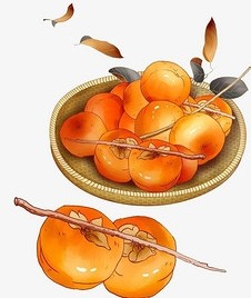 吃柿子的禁忌