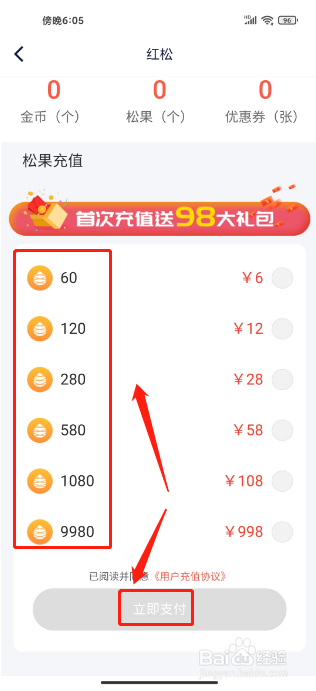 红松极速版APP怎么充值松果