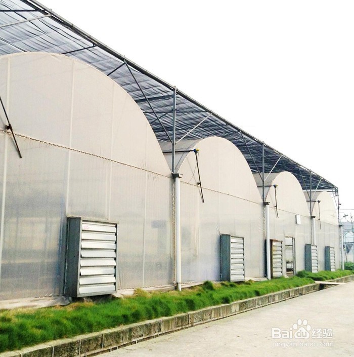 怎么给温室大棚通风？