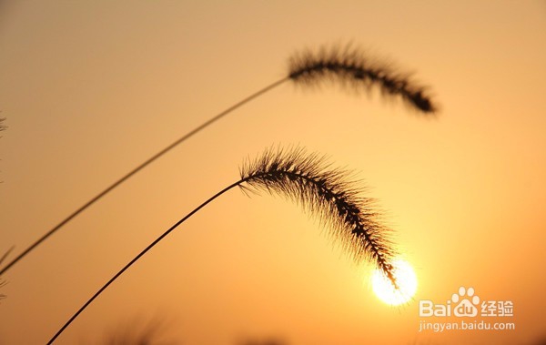 如何做到不畏将来