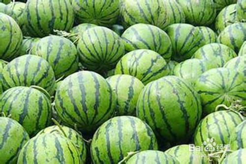 夏季适合吃什么水果