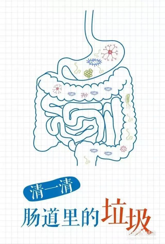 请别掉入清肠的陷井中