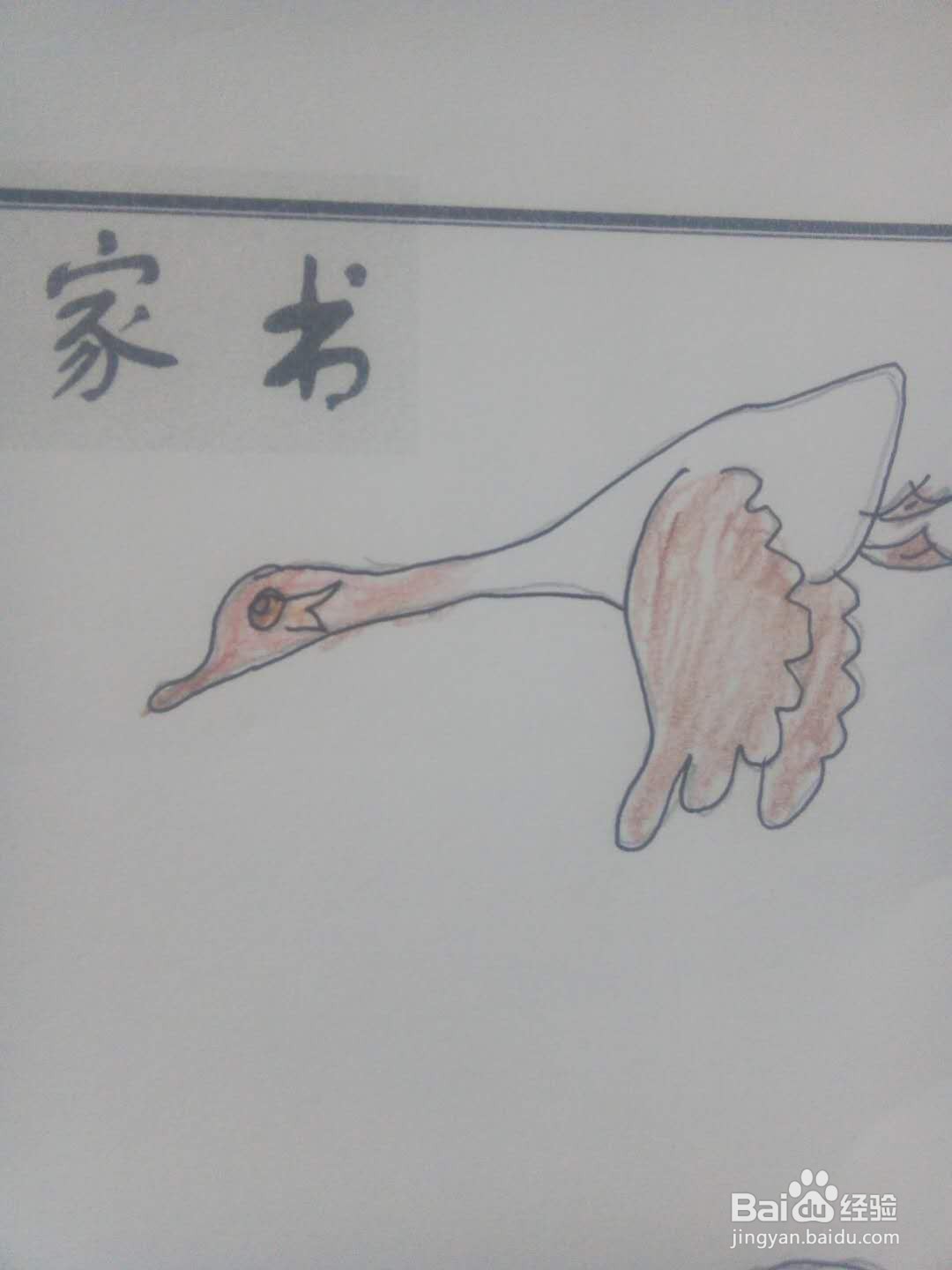 傅雷家书手抄报
