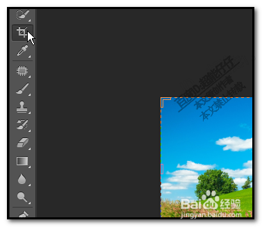 如何用photoshop截图?