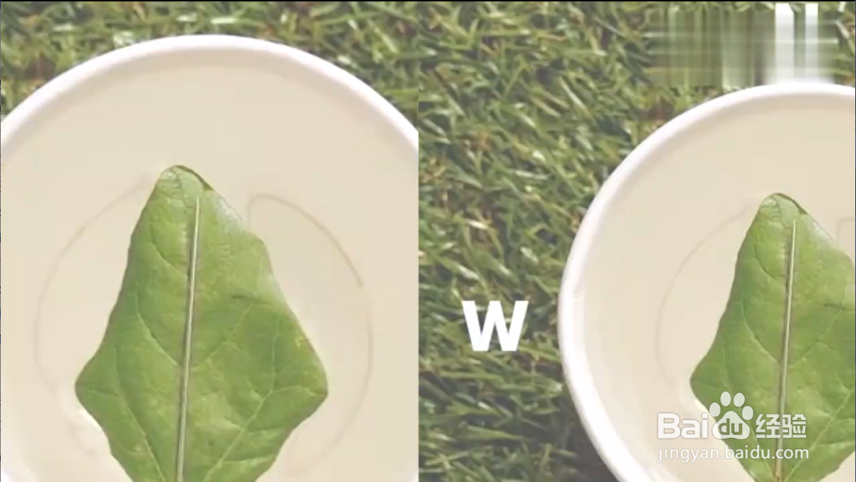 怎样学会野外生存小技巧