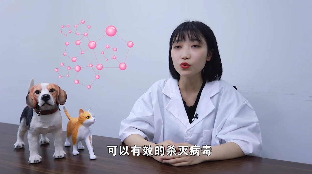超市里的消毒水对宠物有害吗