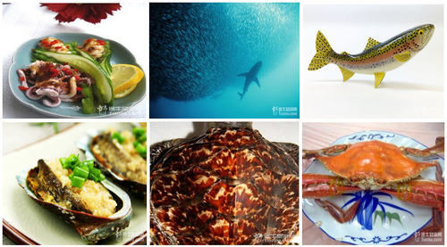 春节旅游去越南的购物指南