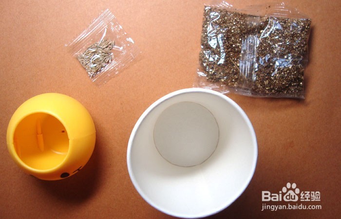 如何教孩子学会种小草