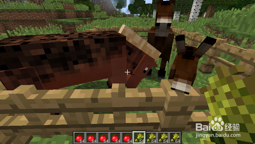 我的世界骡子怎么繁殖