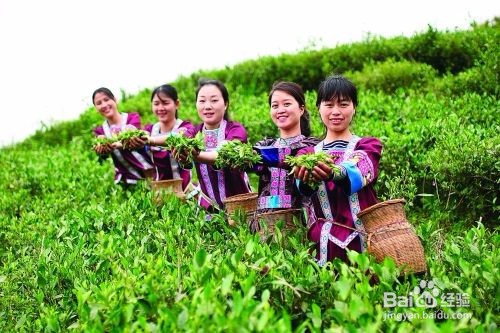 抖音短频频的核心内容有那些