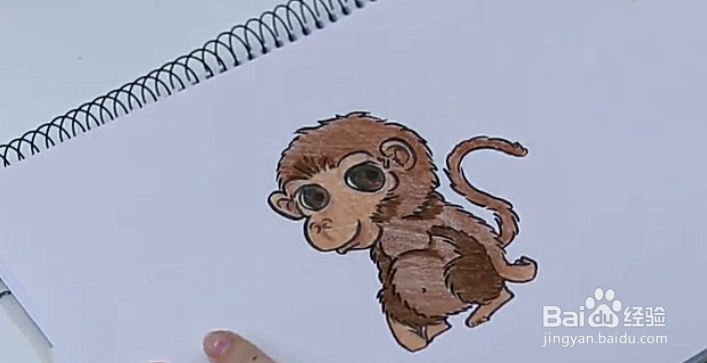 怎么用素描画猴子