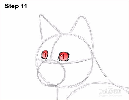 如何画一只猫(孟加拉)——加菲的吃货生活