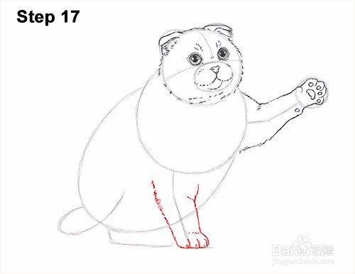 如何画一只猫（苏格兰折）玩——加菲的吃货生活