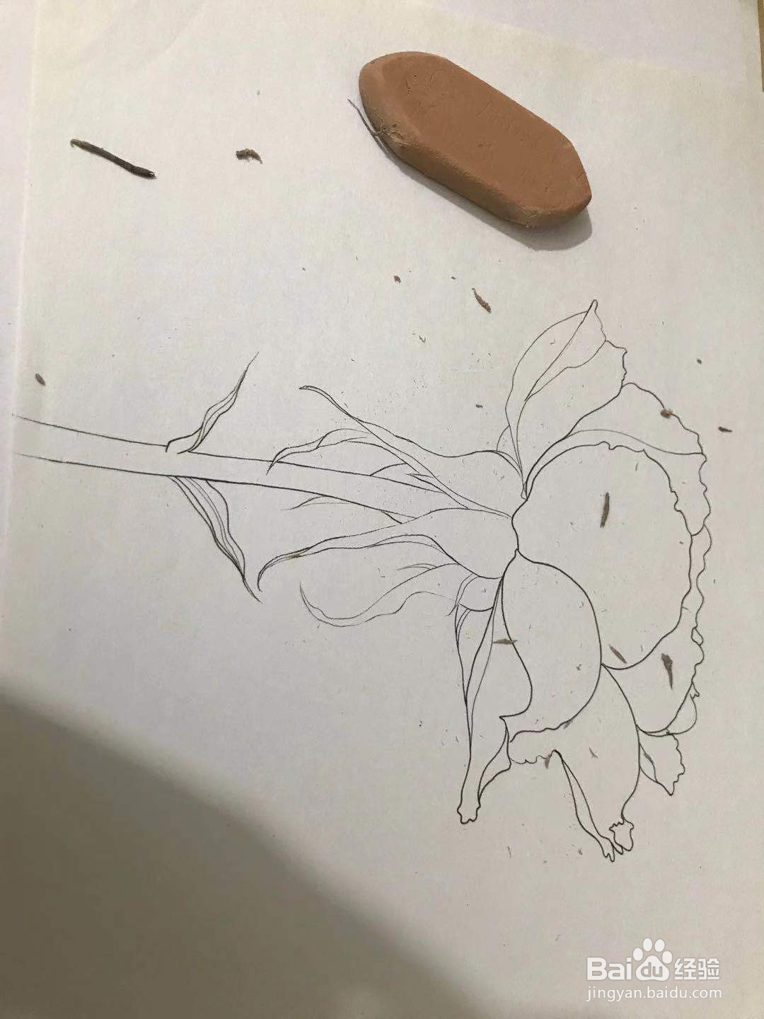 两朵玫瑰花绘画教程