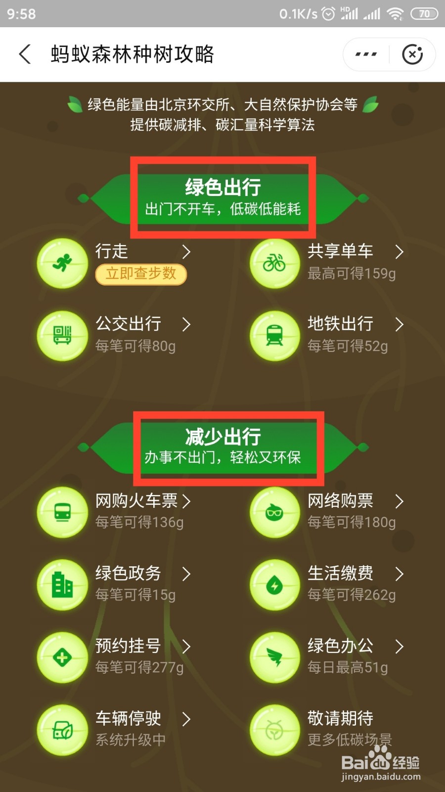 蚂蚁森林怎样结出800多克能量