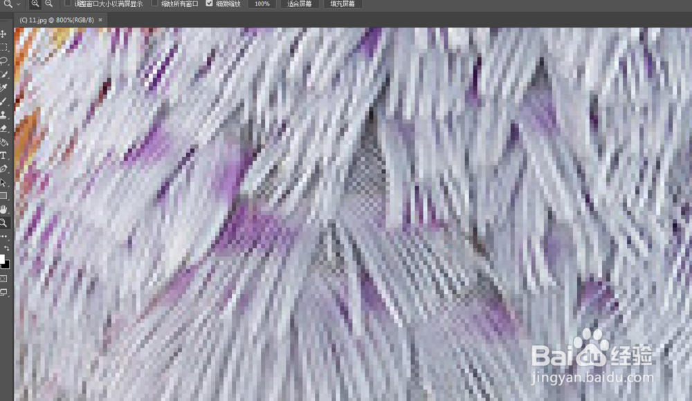 教你PS软件里面中如何快速放大、缩小。