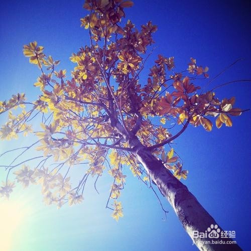 怎么样会导致缺钙？（二）