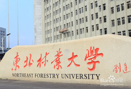 大学生如何找兼职