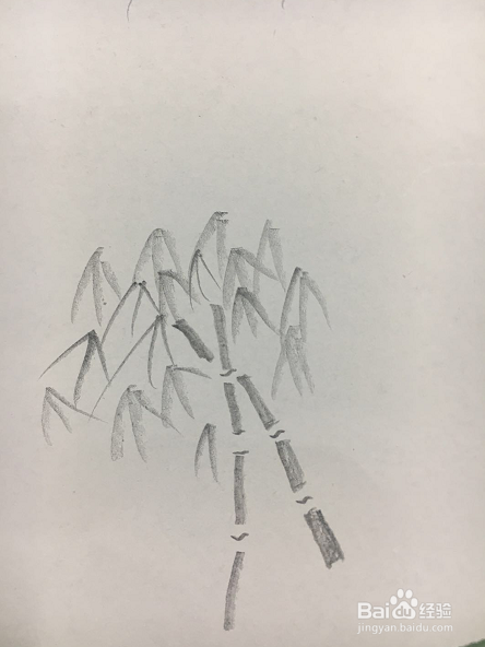 如何用铅笔简单画一幅竹子画