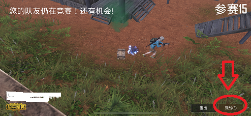 和平精英如何观战