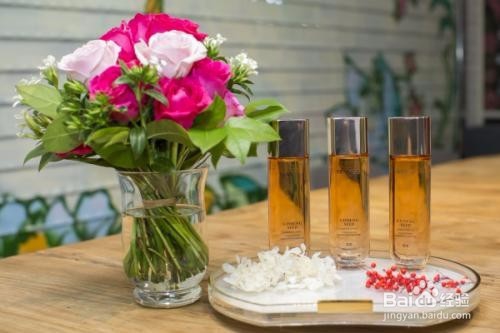 玫瑰花如何水培生根