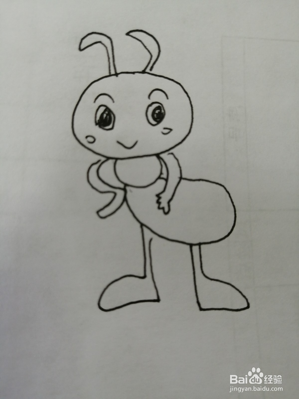 简笔画可爱的蚂蚁怎么画