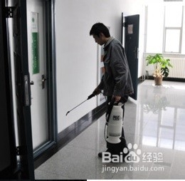 家里有了老鼠和蟑螂该怎么办