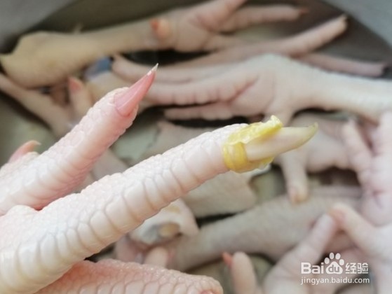 怎么做柠檬鸡爪